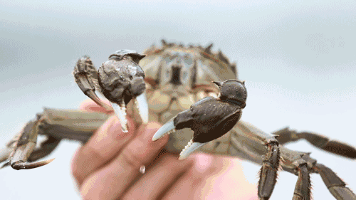 沪轨交安检等级升级!平峰时段"逢包必查"