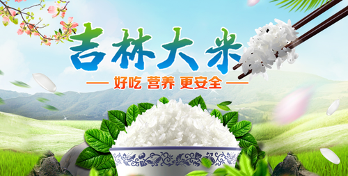 吉林大米走向世界 吉林省黄金产区名不虚传