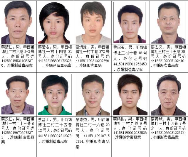 陆丰181人被通缉最高可奖励100万