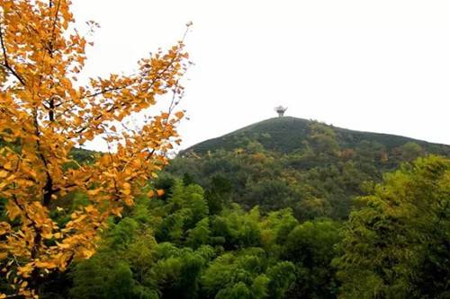 旅遊西九華山風景區地處大別山脈海拔七百餘米的崇山峻嶺之中,生態