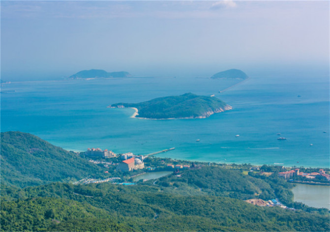 龙游天下,一只栩栩如生的游龙第五天,这天有点闲,大概是前一天在森林