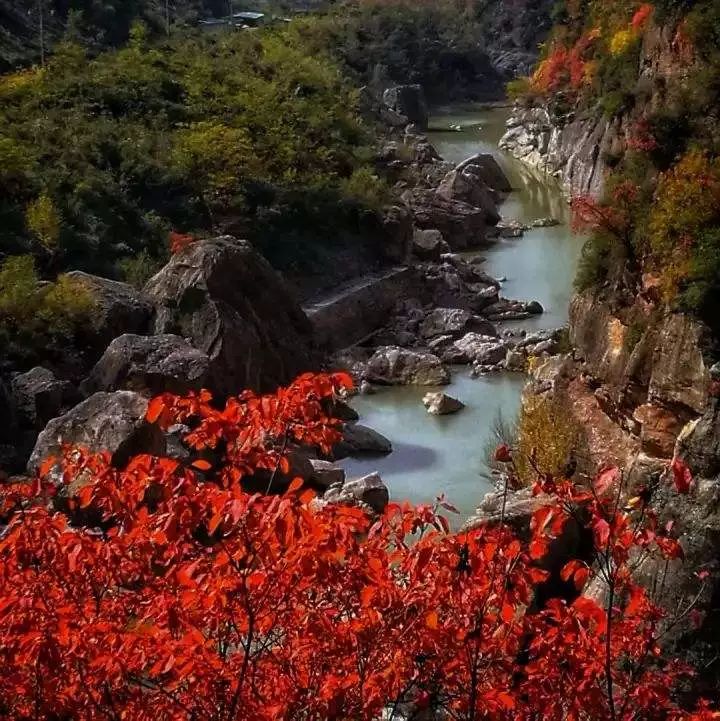包含一年四季不愁销路的生意甘肃陇南的词条