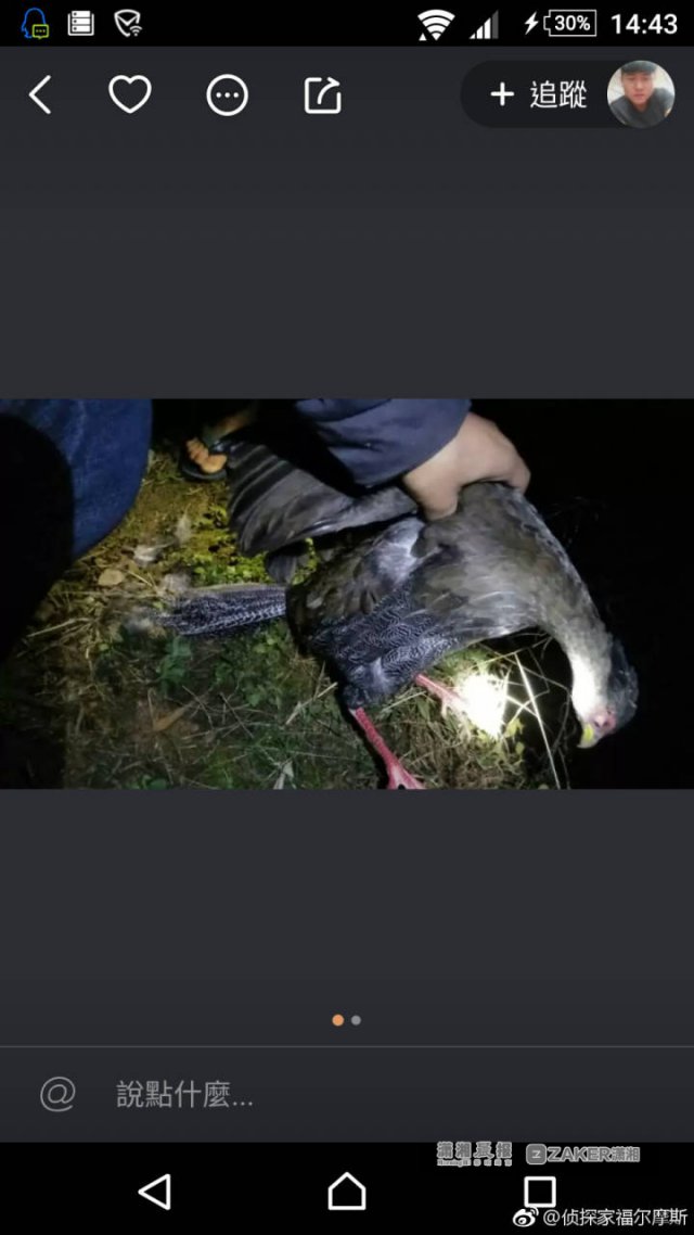 浏阳00后看快手学野外捕猎获利千余元还上网炫耀