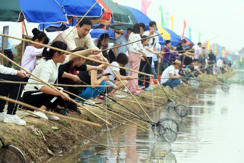 在上海北大门的特色小镇首届宝山湖龙虾节开幕