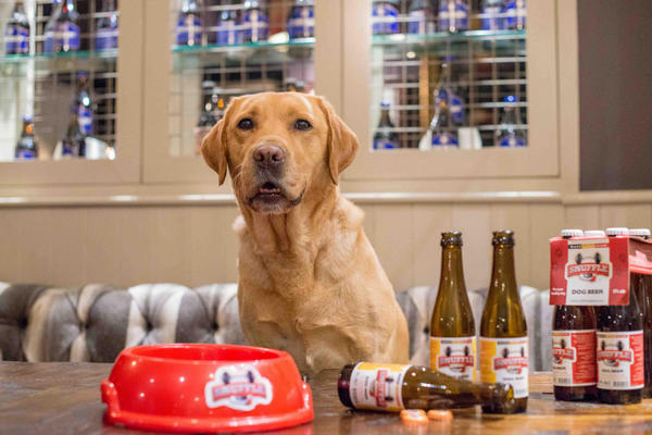 比利时snuffle狗啤酒 为狗狗健康而生!