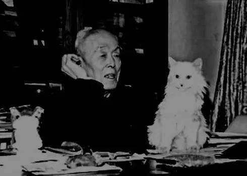 季羡林与猫