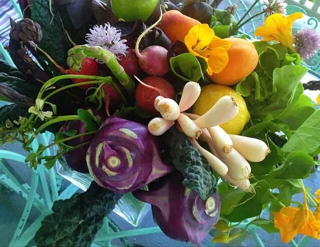蔬菜水果可食用部分花图片