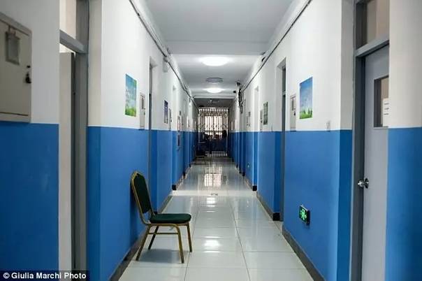 对于杨永信和他的网瘾治疗 老外是如何看的