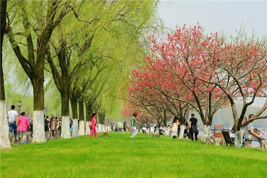 10处国内桃花秘境 邀你共赴一场三生若梦的约定