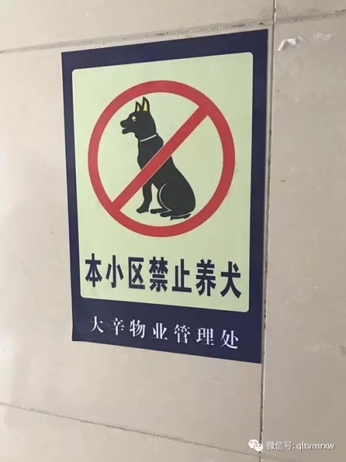 济南一小区贴出 "禁狗令" 凡养狗者罚款1000元
