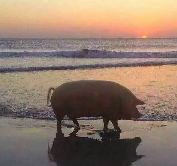 "的时候,你就能把这张照片甩到他脸上说,把偷拍你看海的照片送给你