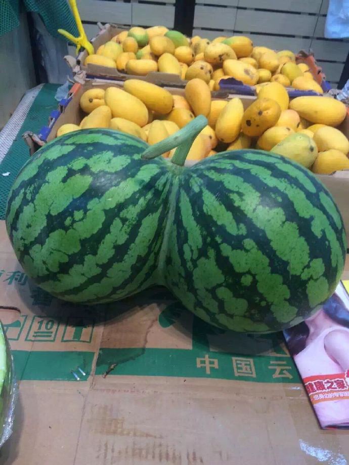 神图求文!
