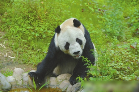 原標題:31歲